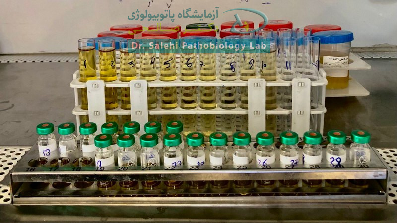 بخش میکروب شناسی آزمایشگاه دکتر صالحی